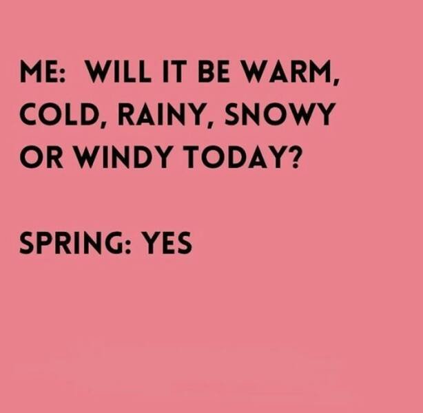 Spring Humor (17 pics)