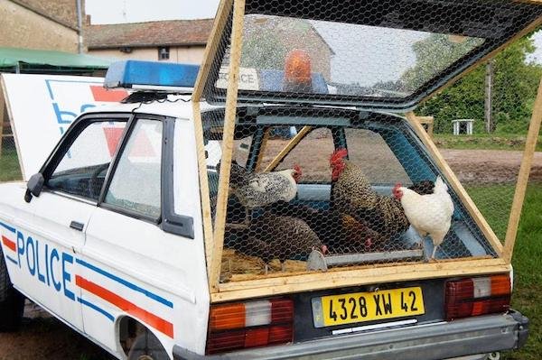 Crazy Cars (30 pics)