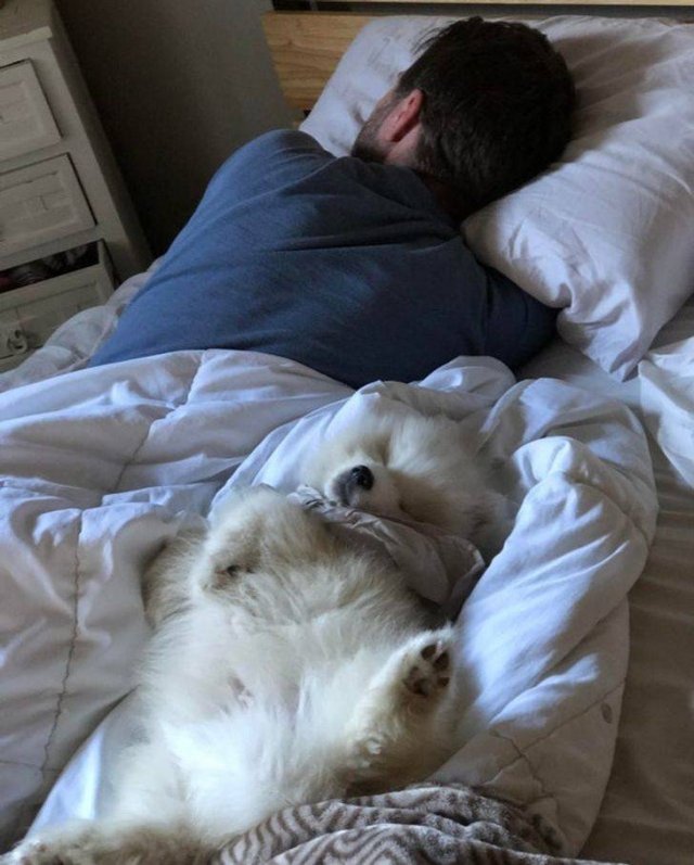 People Who Love Their Pets Very Much (20 pics)