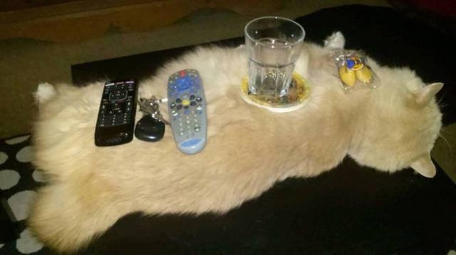 Strange Russians (39 pics)