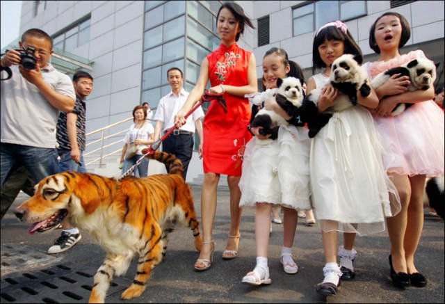 Odd Photos From China (42 pics)