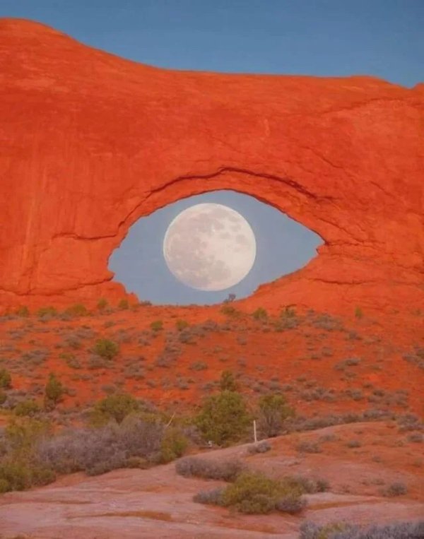 Really Interesting Finds (23 pics)