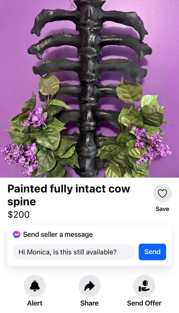 Strange Designs And Things (24 pics)