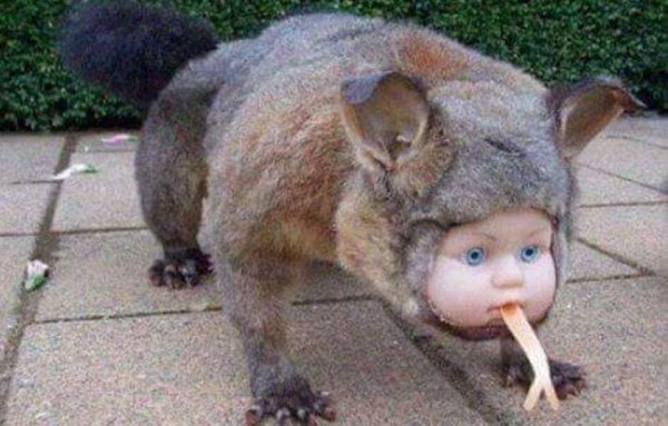 Strange Designs And Things (24 pics)