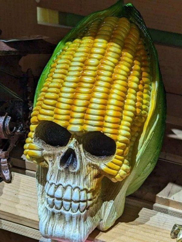 Strange Designs And Things (24 pics)