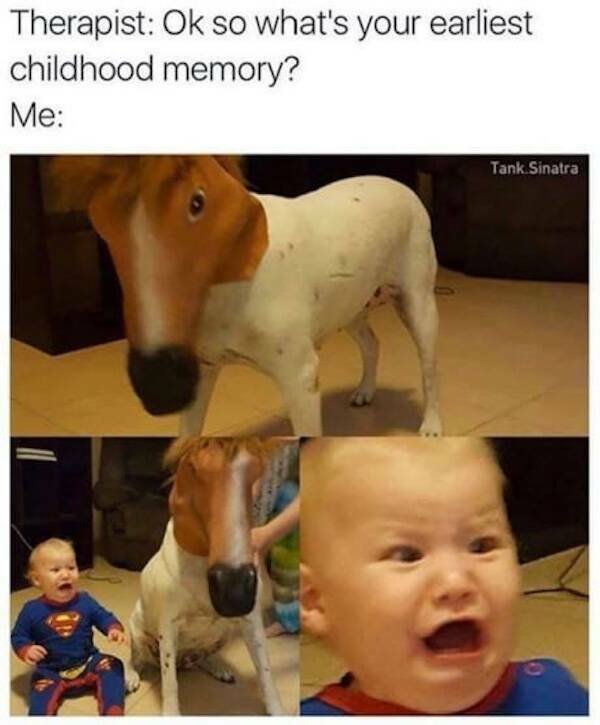 Memes With Animals (23 pics)