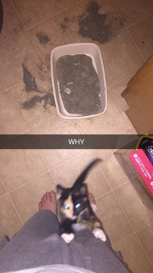 They Don't Care About The Rules (20 pics) They Don't Care About The Rules (20 pics)