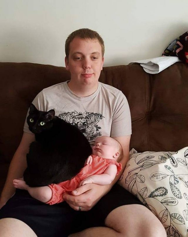 They Don't Care About The Rules (20 pics) They Don't Care About The Rules (20 pics)