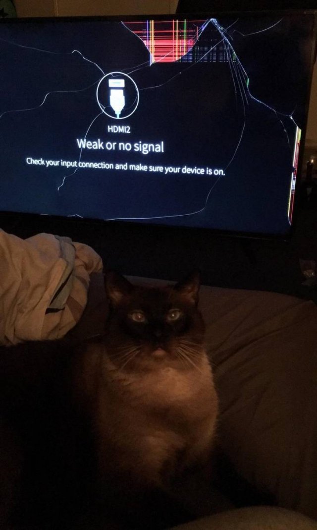They Don't Care About The Rules (20 pics) They Don't Care About The Rules (20 pics)