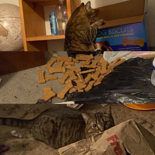 They Don't Care About The Rules (20 pics) They Don't Care About The Rules (20 pics)