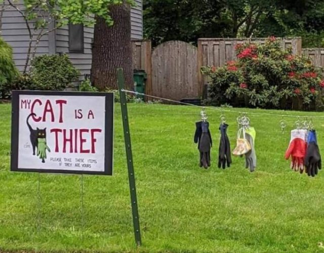 Funny Signs (20 pics)