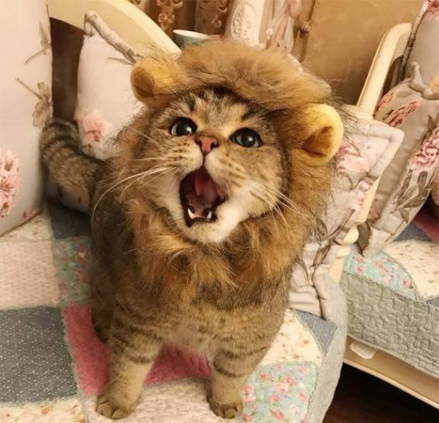 Real Emotions (26 pics)