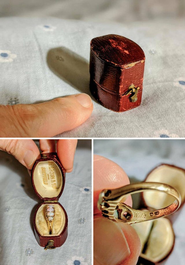 People Share The Inheritance They Got (22 pics)