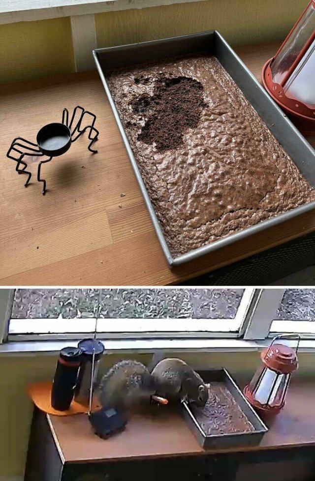 Bad Days Happen (22 pics)