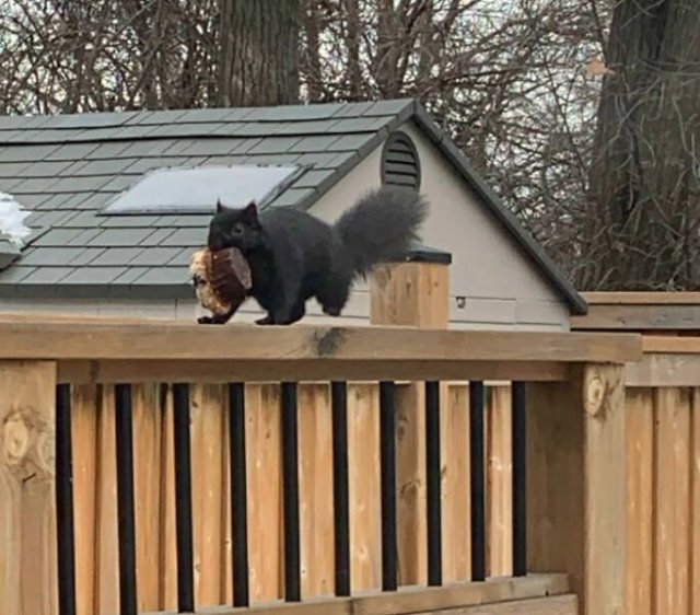 Bad Days Happen (22 pics)