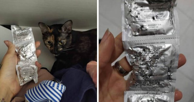 Bad Days Happen (22 pics)