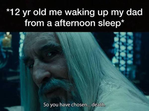 ''LOTR'' Memes (27 pics)