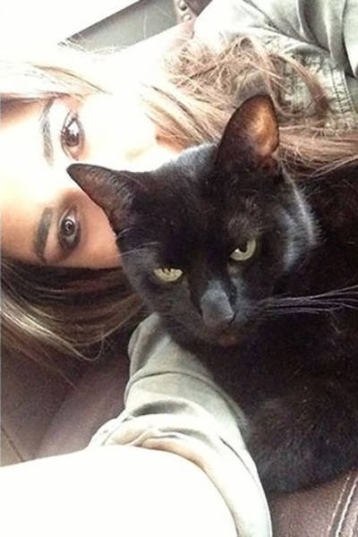 They Hate Selfies (25 pics)