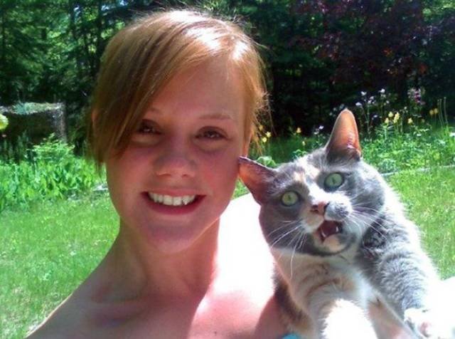 They Hate Selfies (25 pics)
