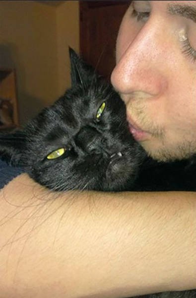 They Hate Selfies (25 pics)
