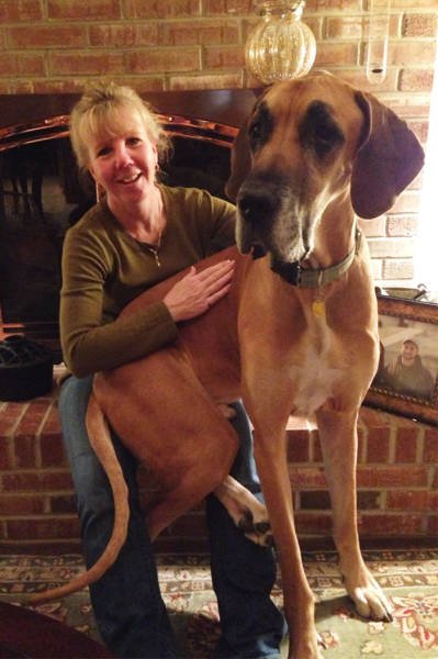 Giant Dogs (47 pics)