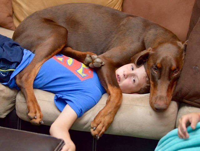 Giant Dogs (47 pics)