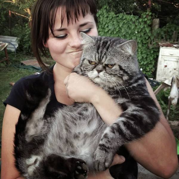They Hate Selfies (25 pics)