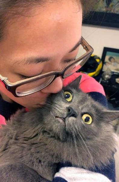 They Hate Selfies (25 pics)