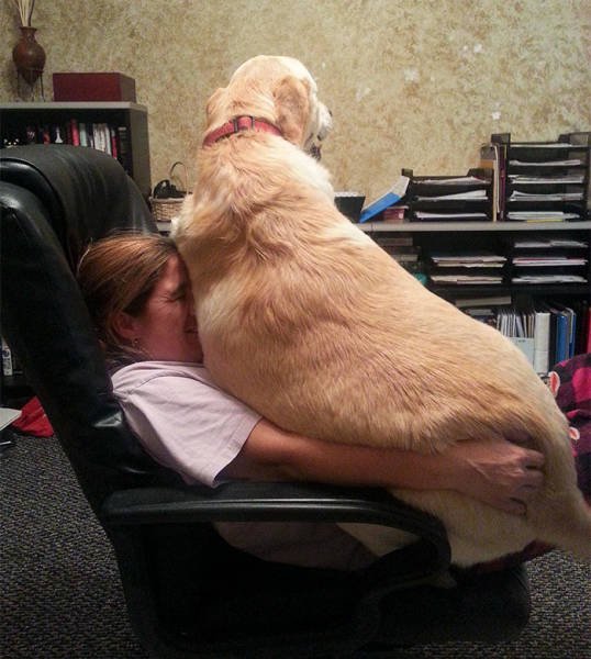Giant Dogs (47 pics)