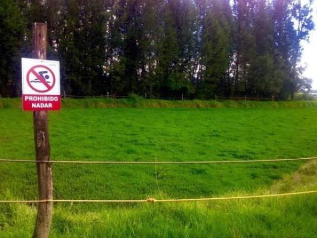 Funny Signs (35 pics)