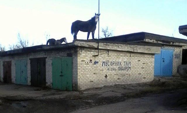 Strange Russians (40 pics)