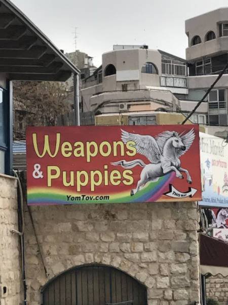 Funny Signs (35 pics)