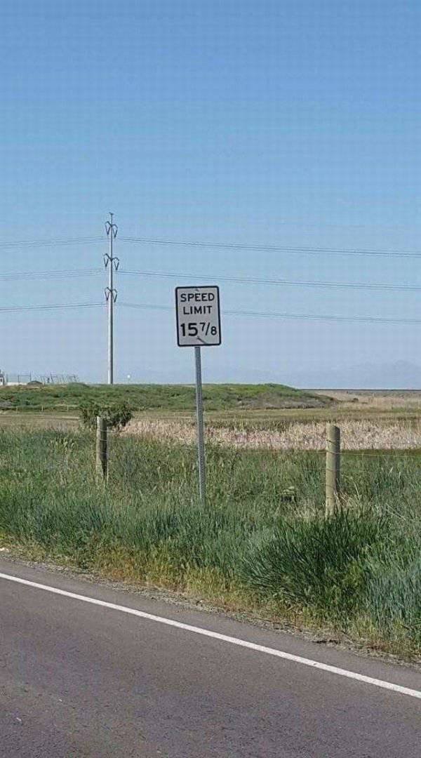 Funny Signs (35 pics)