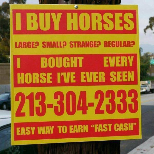 Funny Signs (35 pics)