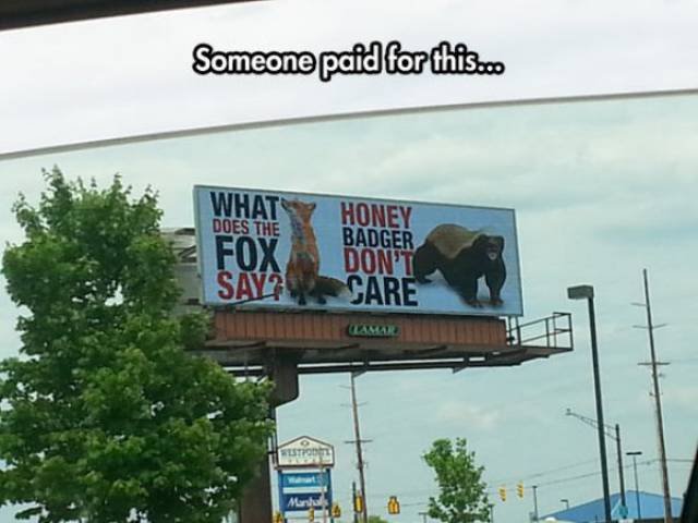Funny Signs (35 pics)