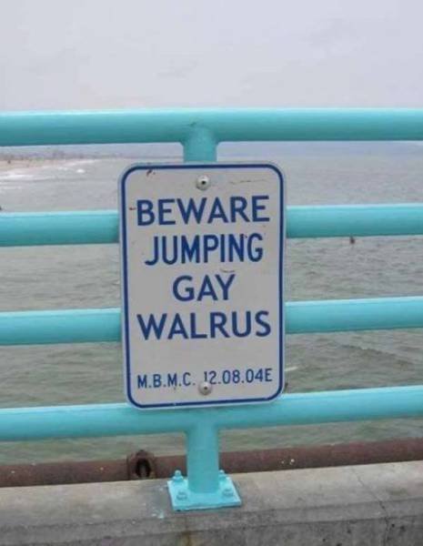 Funny Signs (35 pics)