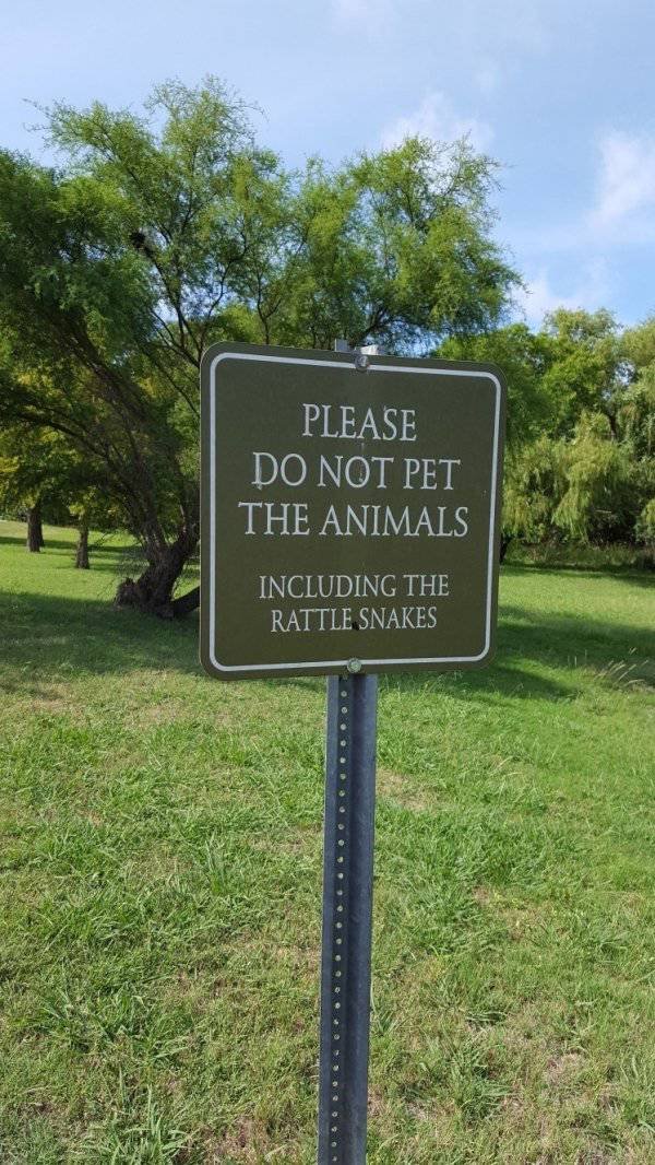 Funny Signs (35 pics)