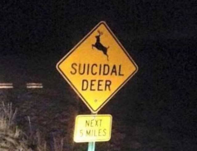 Funny Signs (35 pics)