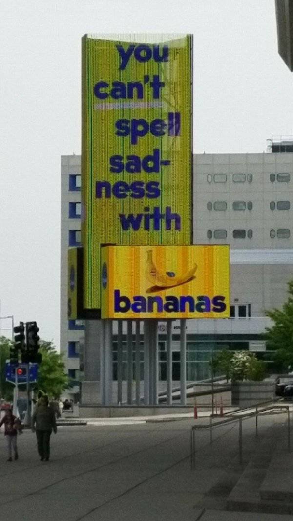 Funny Signs (35 pics)