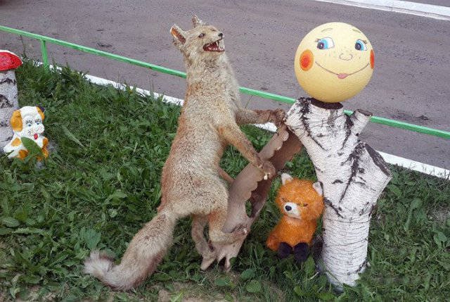 Strange Russians (40 pics)