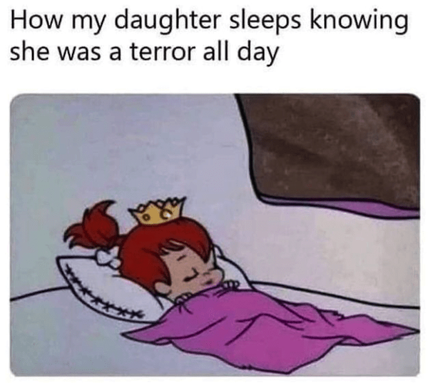 Memes For Parents (20 pics)