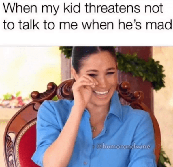 Memes For Parents (20 pics)