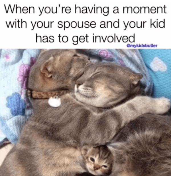 Memes For Parents (20 pics)