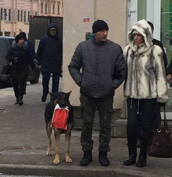 Strange Russians (40 pics)