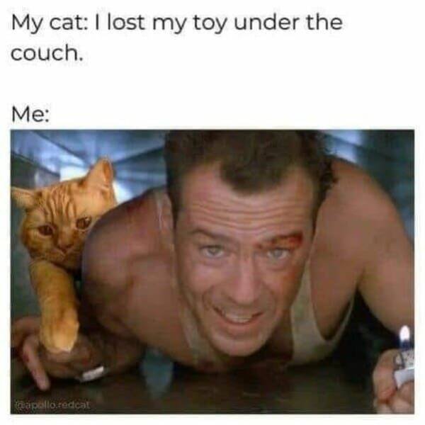 Memes With Animals (23 pics)