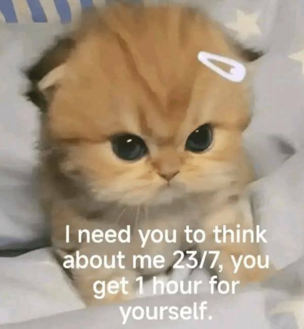 Memes With Animals (23 pics)