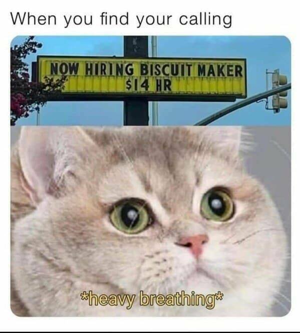 Memes With Animals (23 pics)