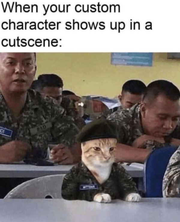 Funny Cats (28 pics)