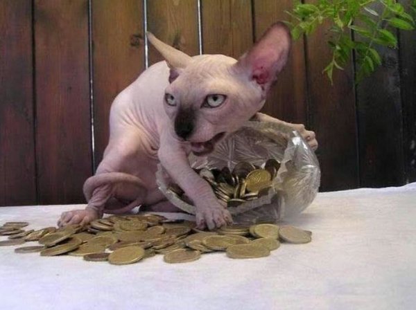 What Is Going On Here? (34 pics)