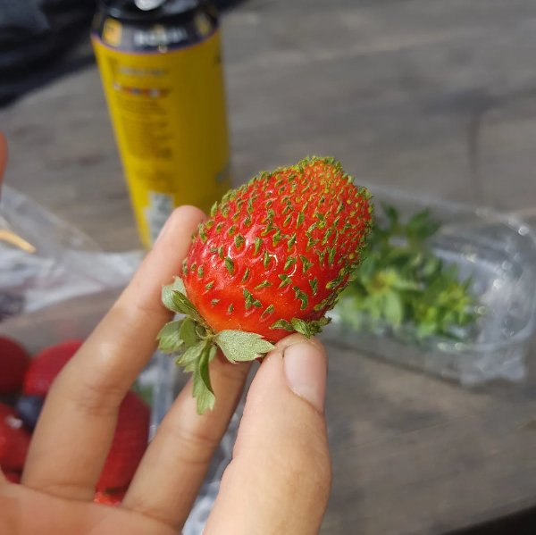 Interesting Finds (16 pics)